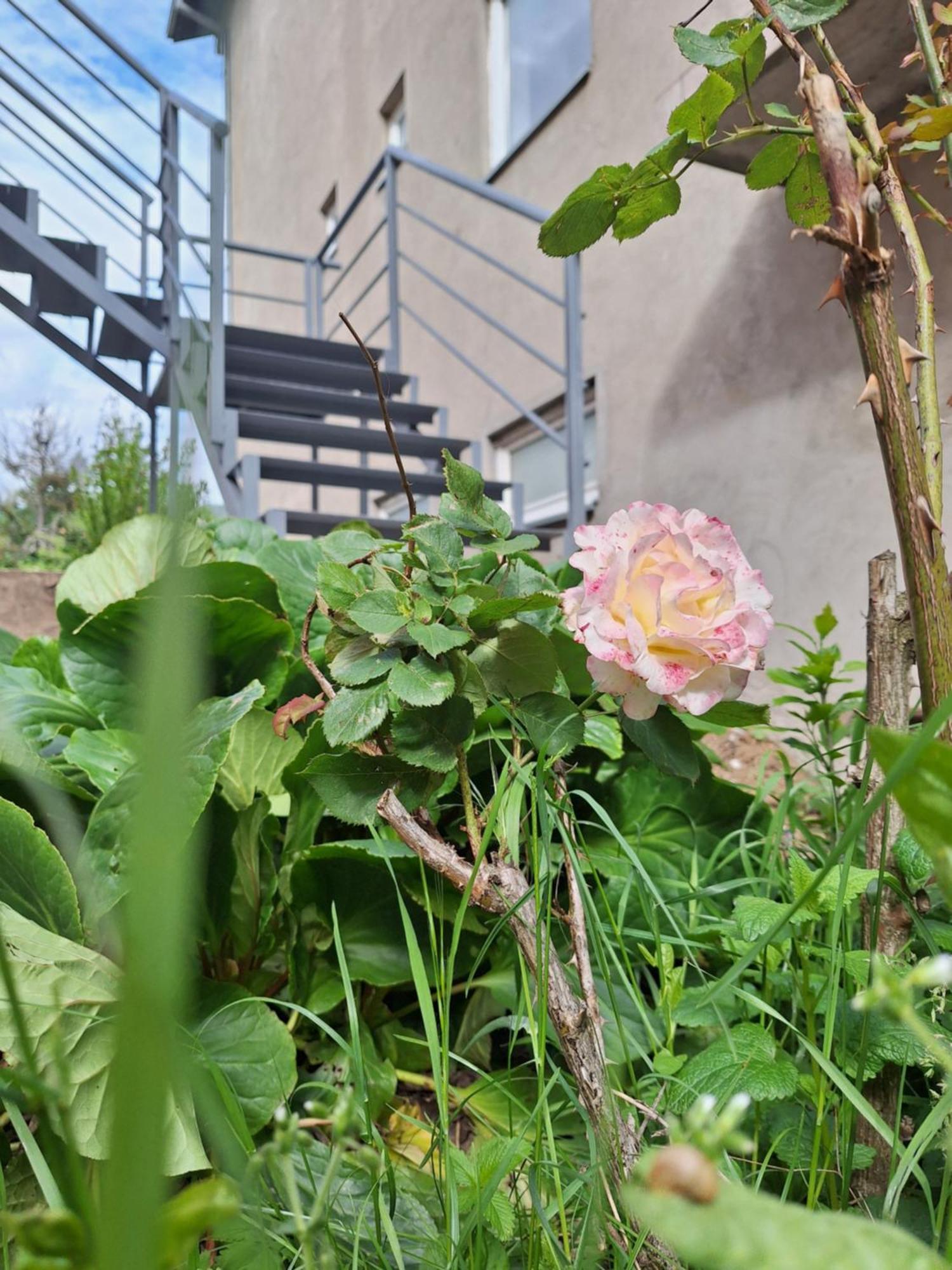 Apartmani Lena Plužine Buitenkant foto
