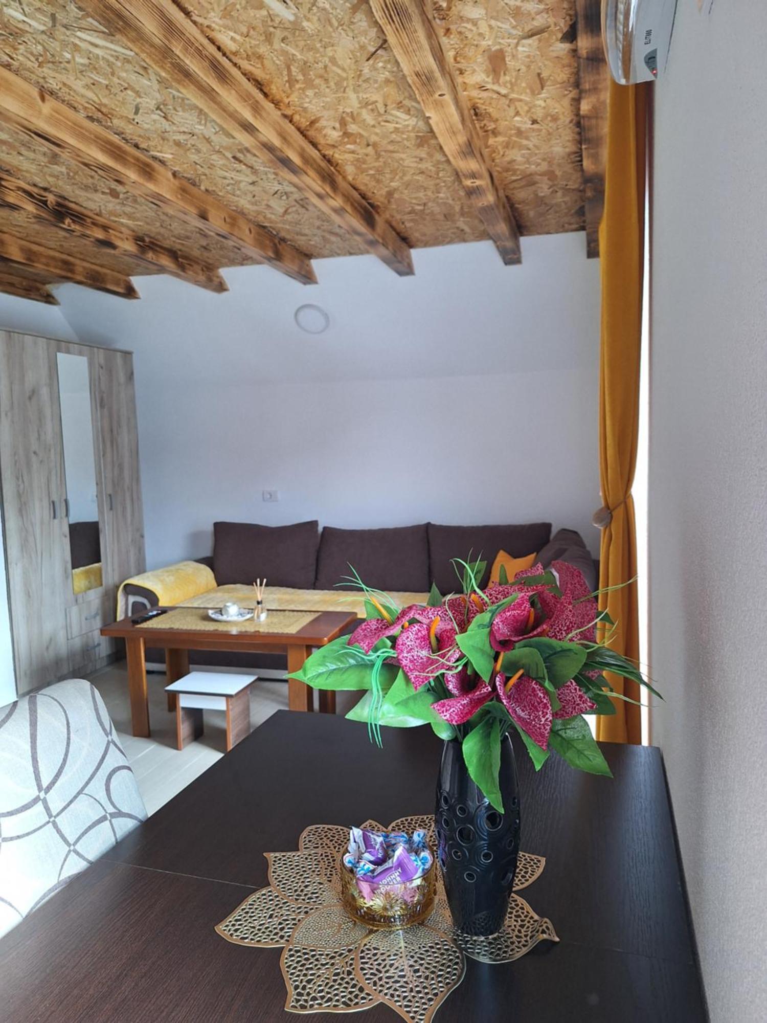 Apartmani Lena Plužine Buitenkant foto